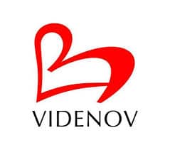 logo-videnov